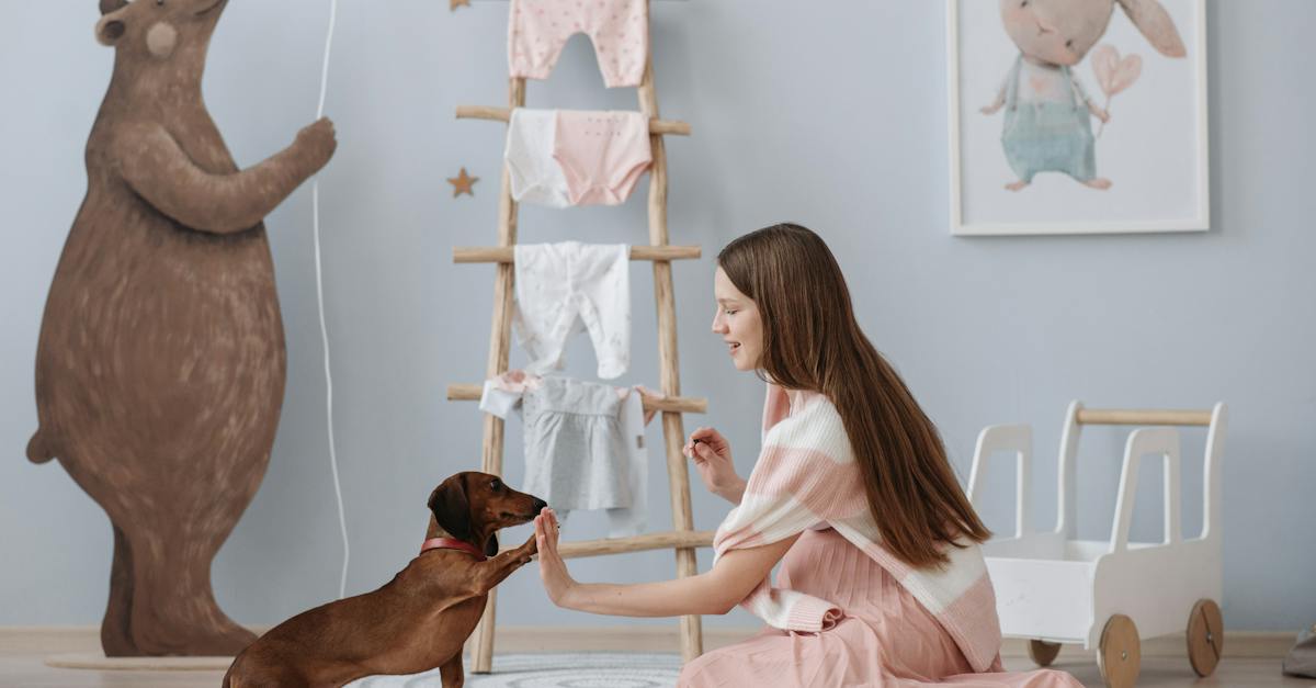 a-pregnant-woman-training-her-dog-1481886