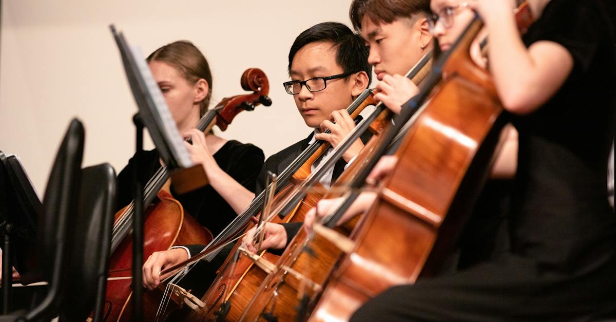 man-in-black-shirt-playing-violin-1027673