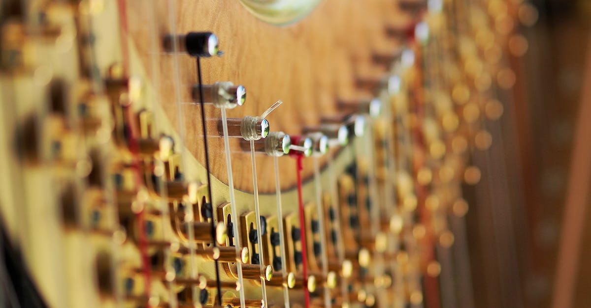 selective-focus-photography-of-string-musical-instrument-2690331